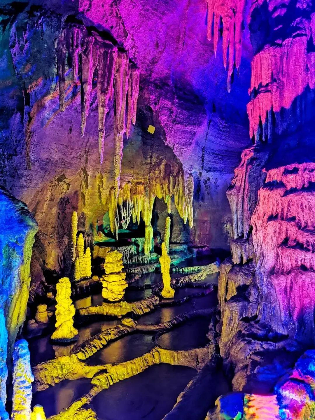 水洞底镇以“三屋同治” 推进双季稻生产