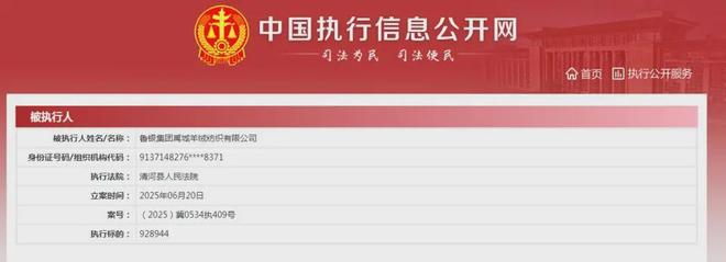 山东某纺企被应急管理局处罚并新增一条92万元被执行信息