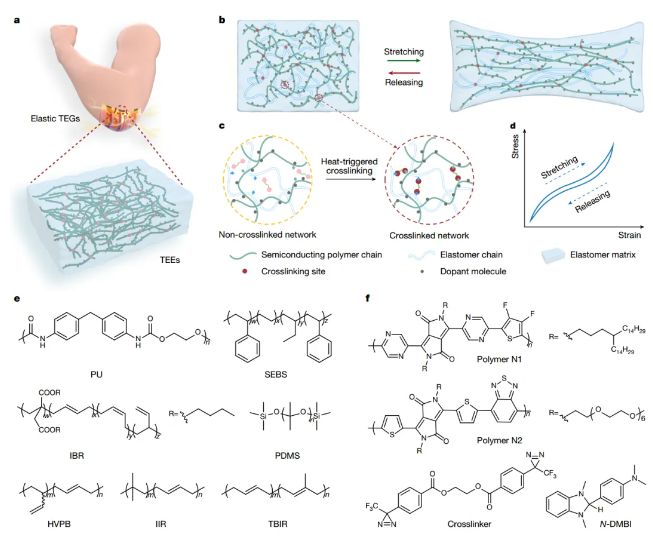 科技 为可穿戴设备供能开辟新路径！青岛科大团队研发热电橡胶材